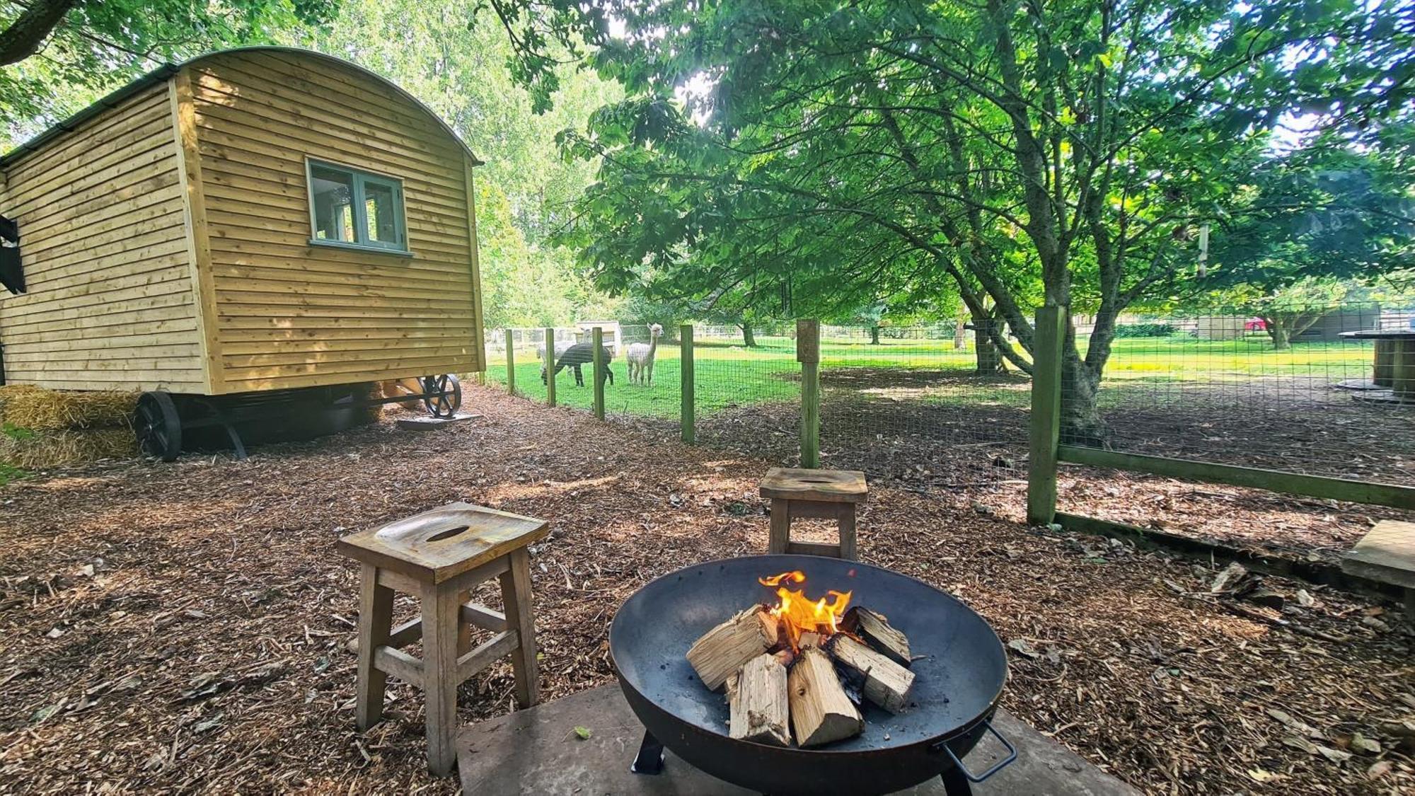 Horsley Hale Farm Glamping Hotel Ely Kamer foto